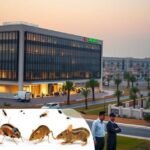 مكافحة حشرات الغدير بالرياض